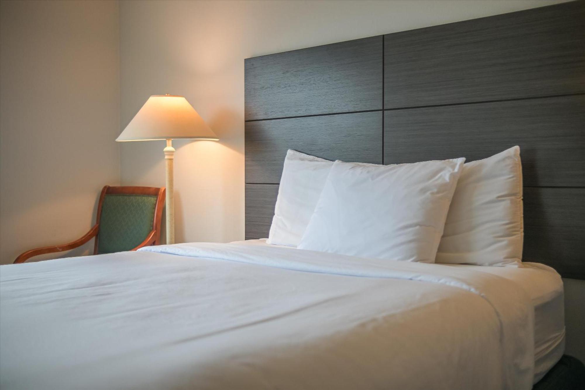 Baymont Inn & Suites By Wyndham Bellingham Buitenkant foto